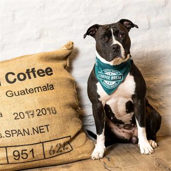 Max & Molly Coffee Break Bandana