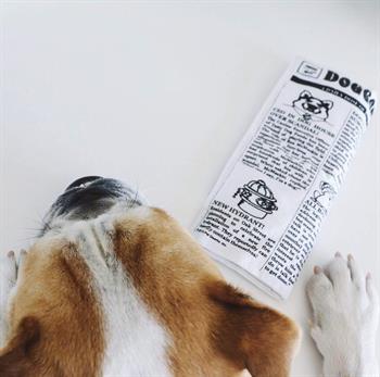 Pet Qwerks Hışırtılı Gazete Sesli Köpek Oyuncağı