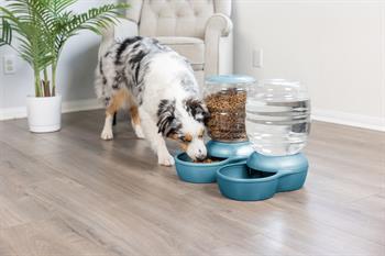 Petmate Replendish Hazneli Su Kabı (3.8 lt) Pearl Blue