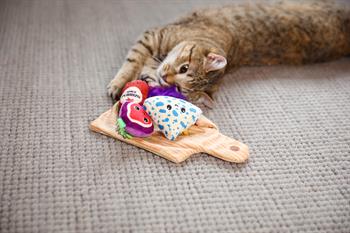 Quirky Kitty Charcuterie Board Kedi Oyun Matı