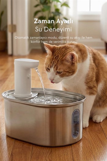 Zampa Oval Paslanmaz Çelik Pet Otomatik Su Pınarı (Bataryalı)