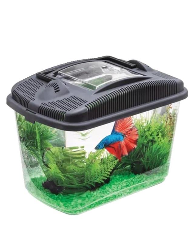 Aquael Betta Kit