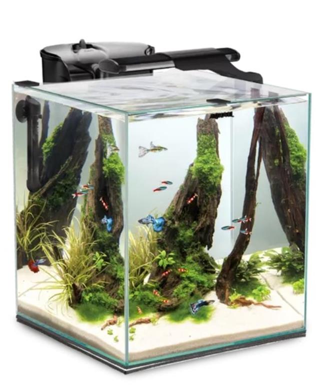 Aquael Fish&Shrimp Akvaryum Seti Smart Duo 35 Beyaz