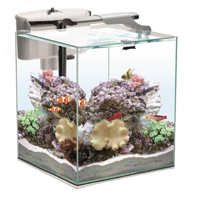 Aquael Set Nano Reef Duo 30 Beyaz