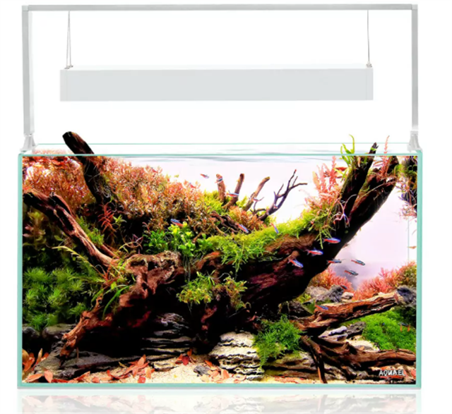 Aquael Ultrascape 60 Snow Set