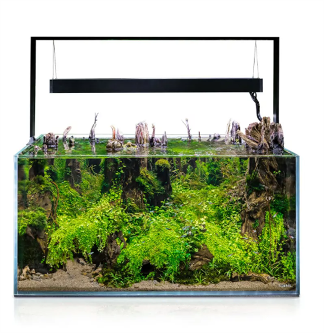 Aquael Ultrascape 90 Forest Set