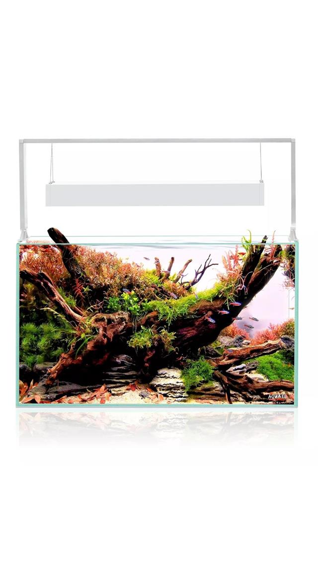 Aquael Ultrascape 90 Snow Set