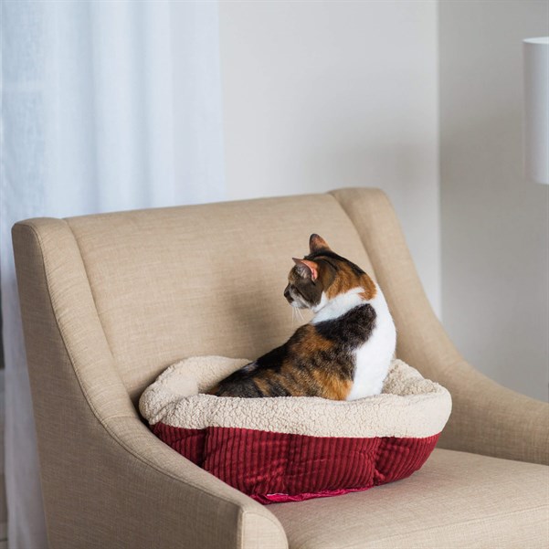 Aspen Pet Isıtmalı Kedi Yatağı (50 x 50cm) - Kedi Yatakları