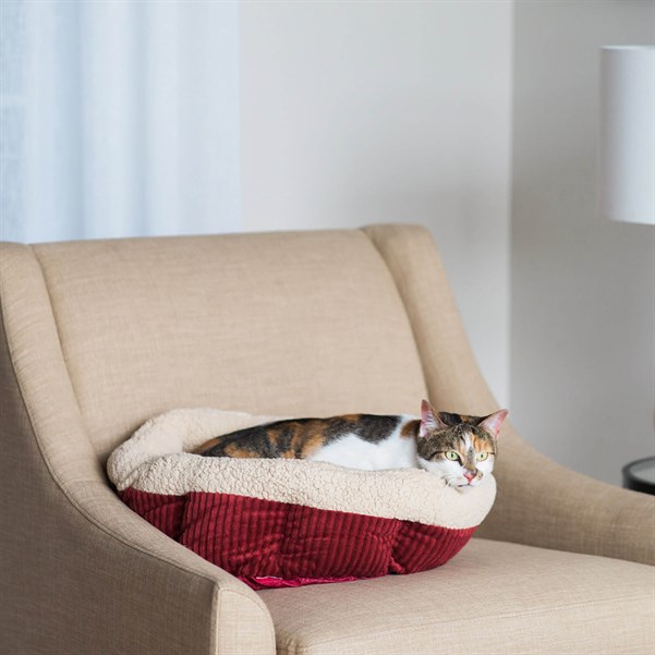 Aspen Pet Isıtmalı Kedi Yatağı (50 x 50cm) - Kedi Yatakları