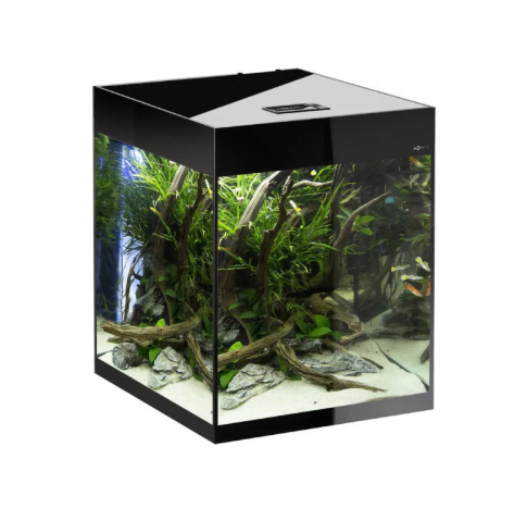 Aquael Glossy Cube Akvaryum Seti D&N Siyah