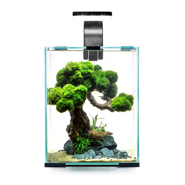 Aquael Shrimp Set Smart D&N 10 Siyah