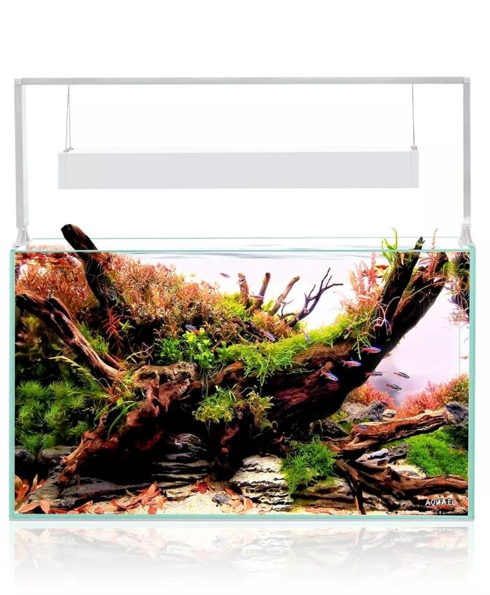 Aquael Ultrascape 60 Forest Set