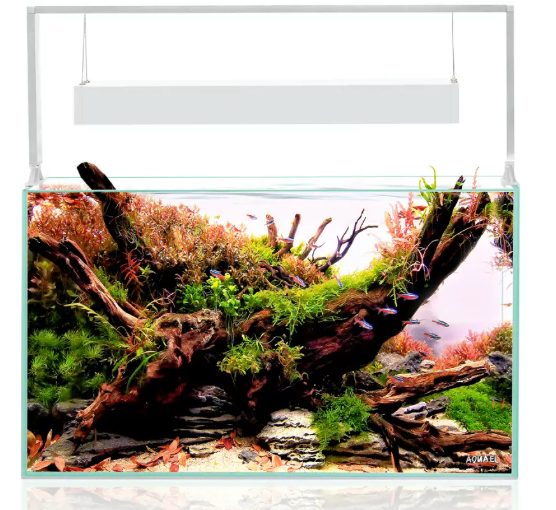 Aquael Ultrascape 60 Snow Set