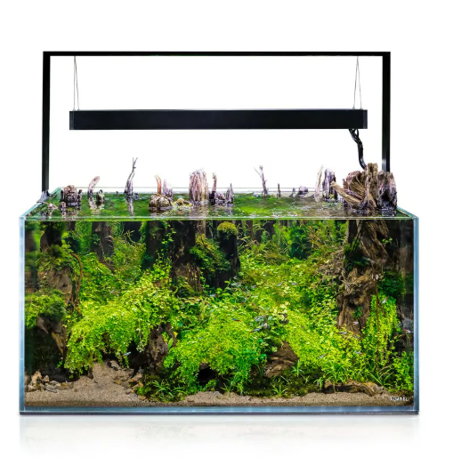 Aquael Ultrascape 90 Forest Set