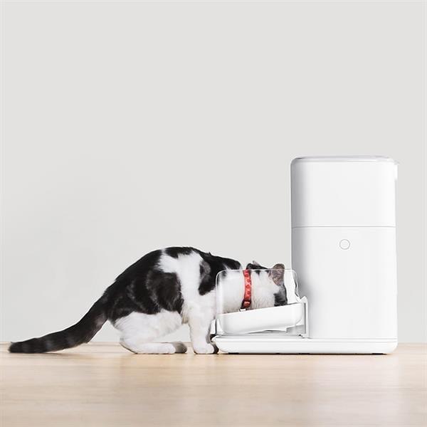 CATLINK Otomatik Mama Kabı 4 Lt PRO