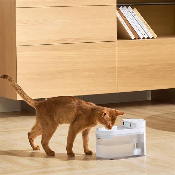 CATLINK Yapay Zekâlı Su Pınarı Kablosuz, 2.3 Lt