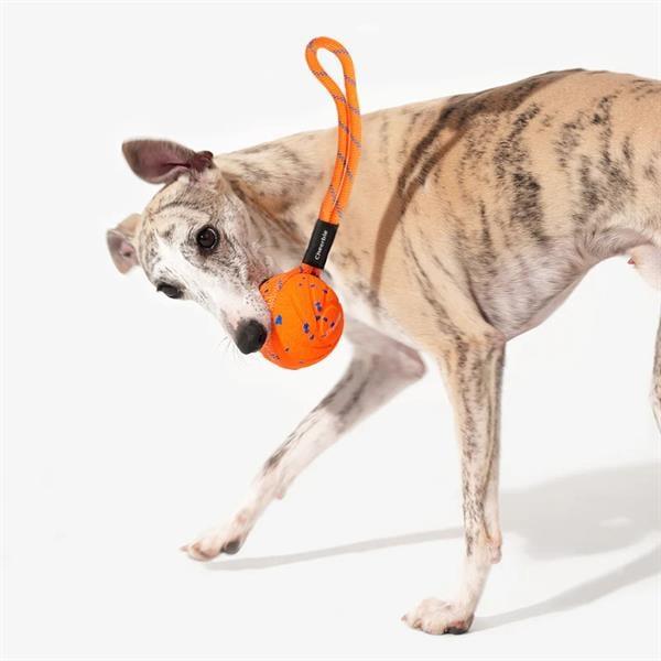 Cheerble Akıllı İnteraktif Köpek Oyuncağı İpli, Turuncu 7 x 7 x 7cm