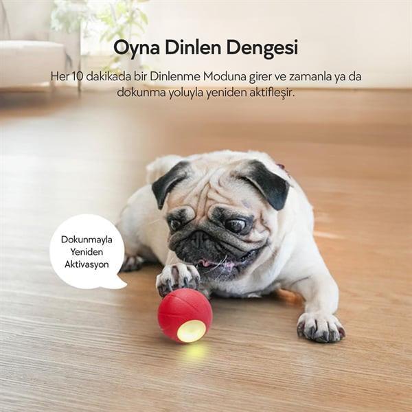 Cheerble Şarjlı Akıllı İneraktif Köpek Oyun Topu Kırmızı Small 5.5 cm