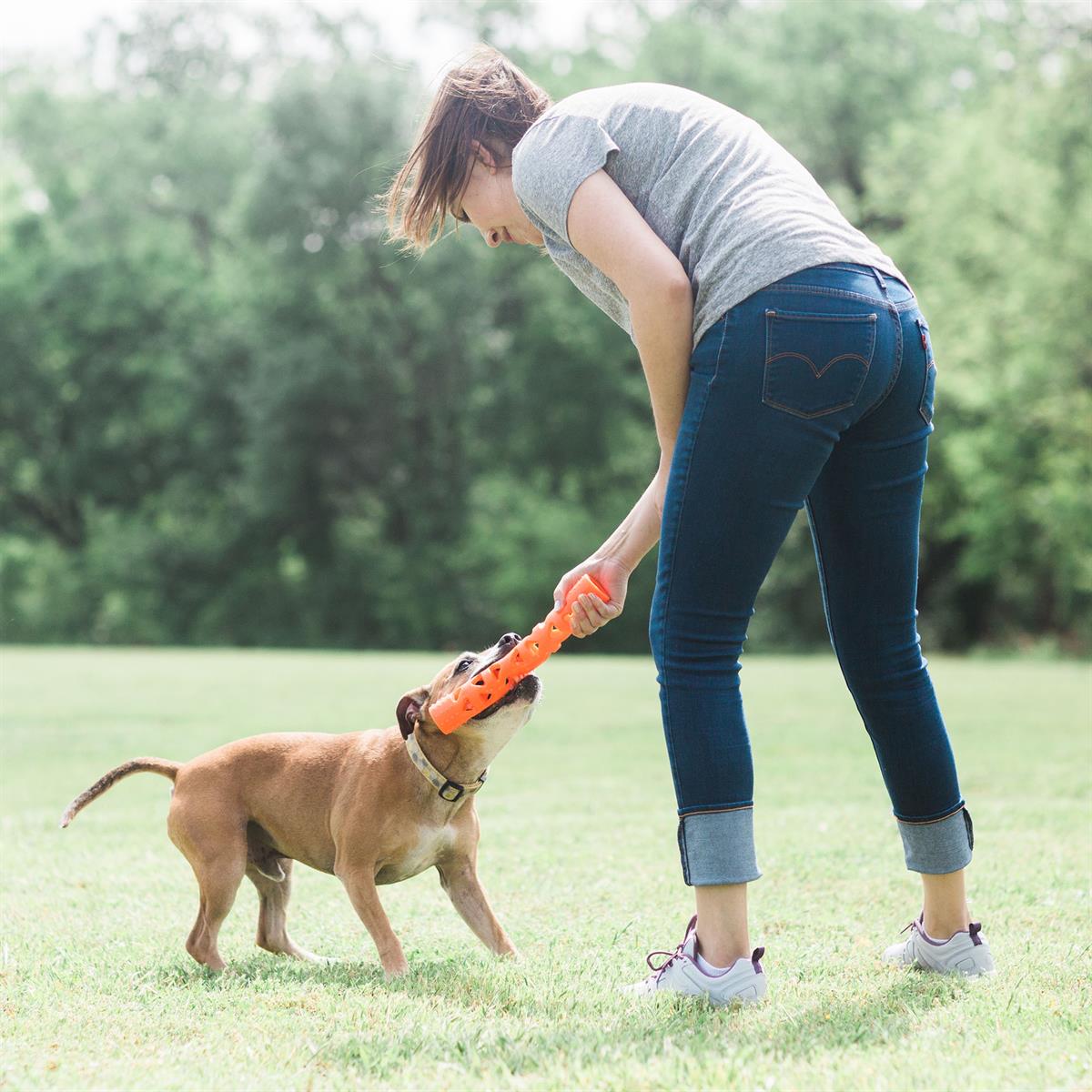 Chuckit! Air Fetch Stick Köpek Oyuncağı (Küçük Boy) - Oyun Topları ve Frizbiler