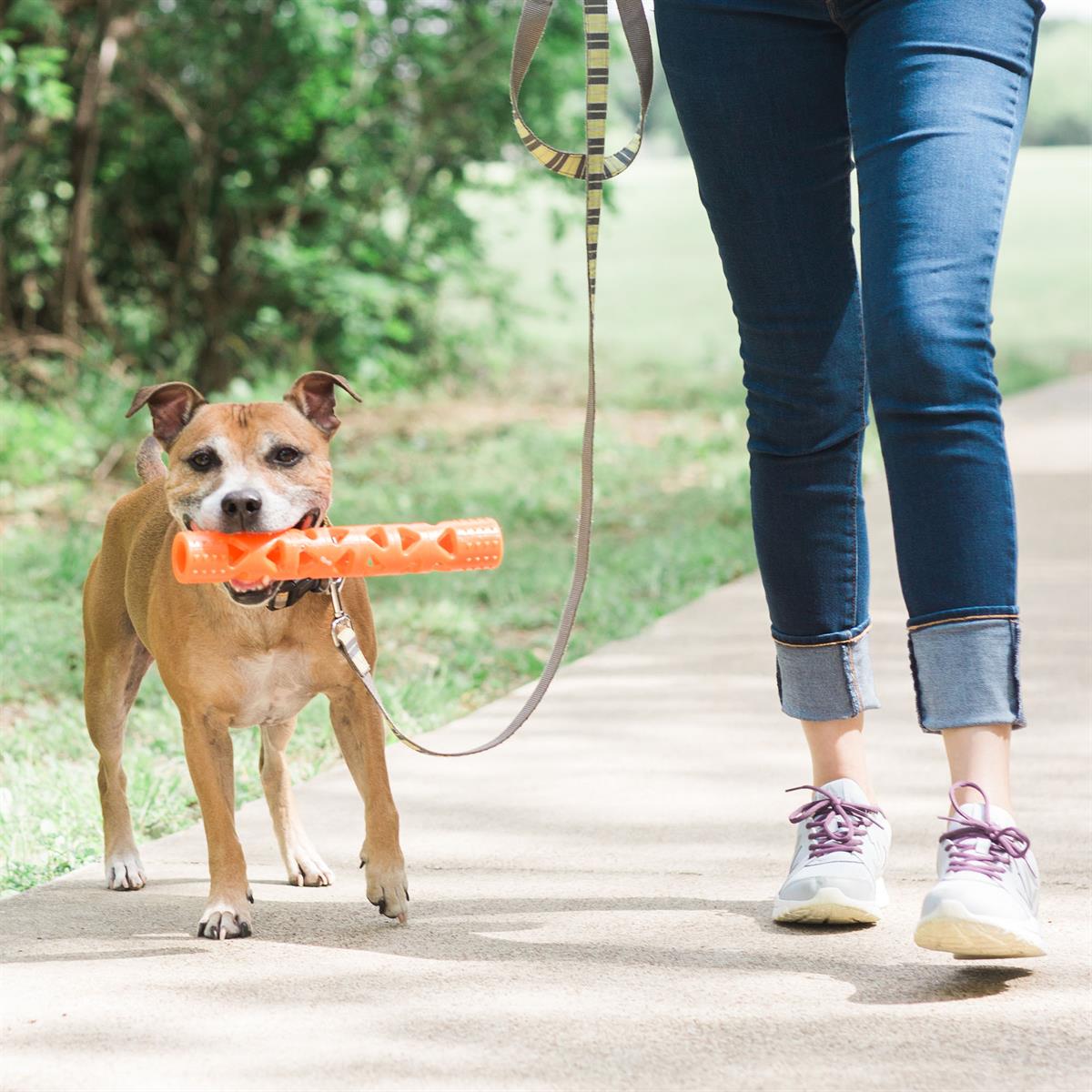 Chuckit! Air Fetch Stick Köpek Oyuncağı (Küçük Boy) - Oyun Topları ve Frizbiler