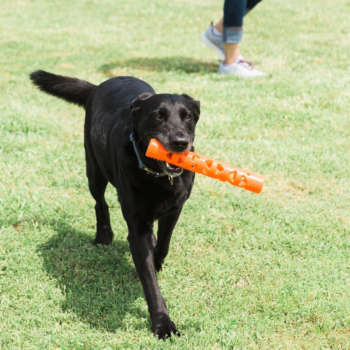 Chuckit! Air Fetch Stick Köpek Oyuncağı (Büyük Boy) - Oyun Topları ve Frizbiler