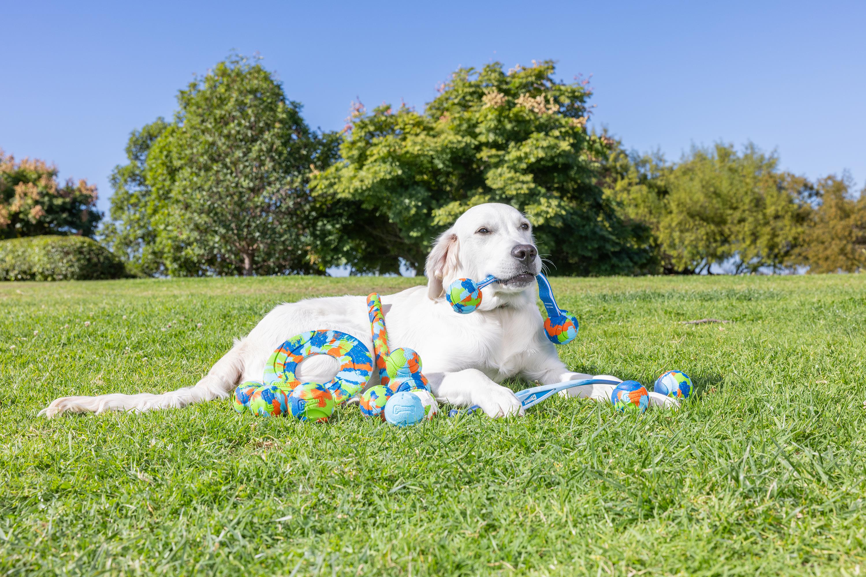 Chuckit! Eco Fetch Stick Doğa Dostu Köpek Oyuncağı - Oyun Topları ve Frizbiler