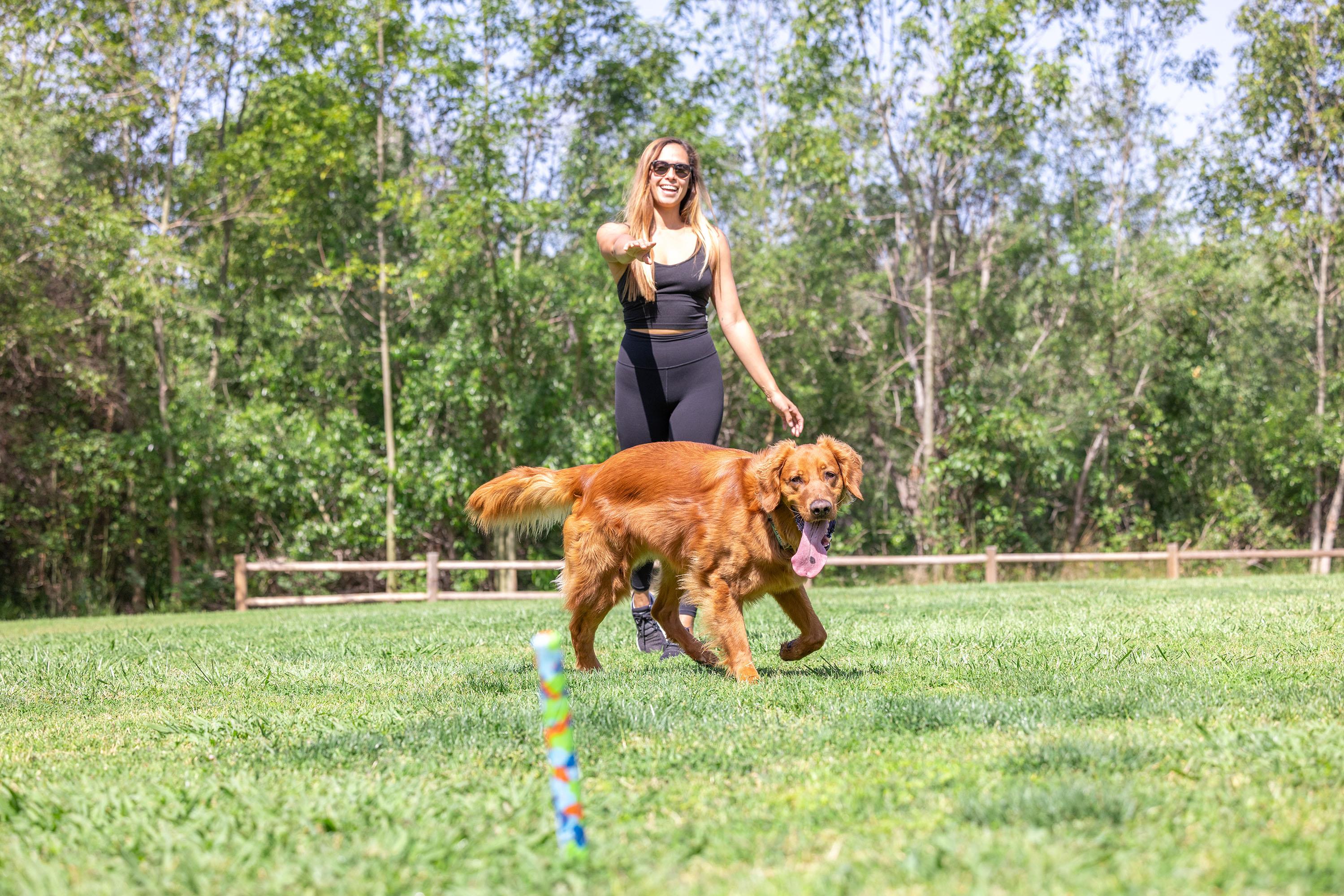 Chuckit! Eco Fetch Stick Doğa Dostu Köpek Oyuncağı - Oyun Topları ve Frizbiler