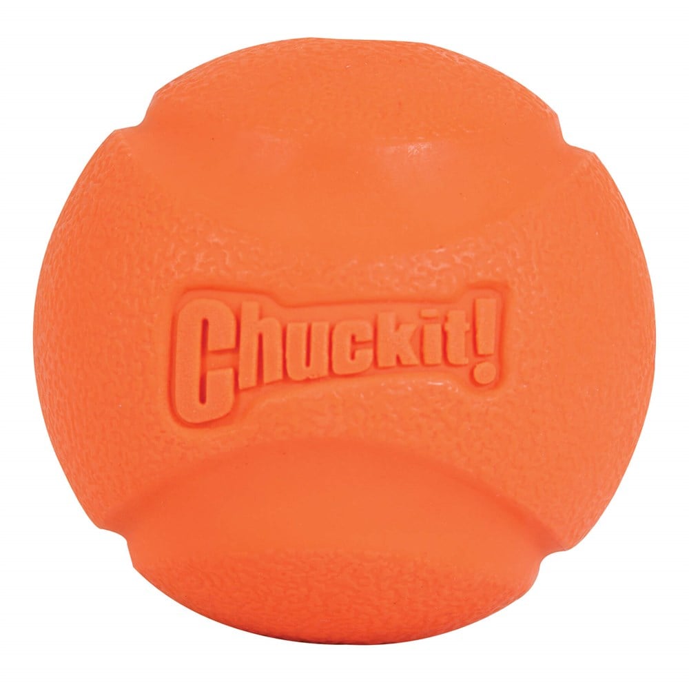 Chuckit! Fetch Ball 2'li Köpek Oyun Topu - Köpek Oyuncakları