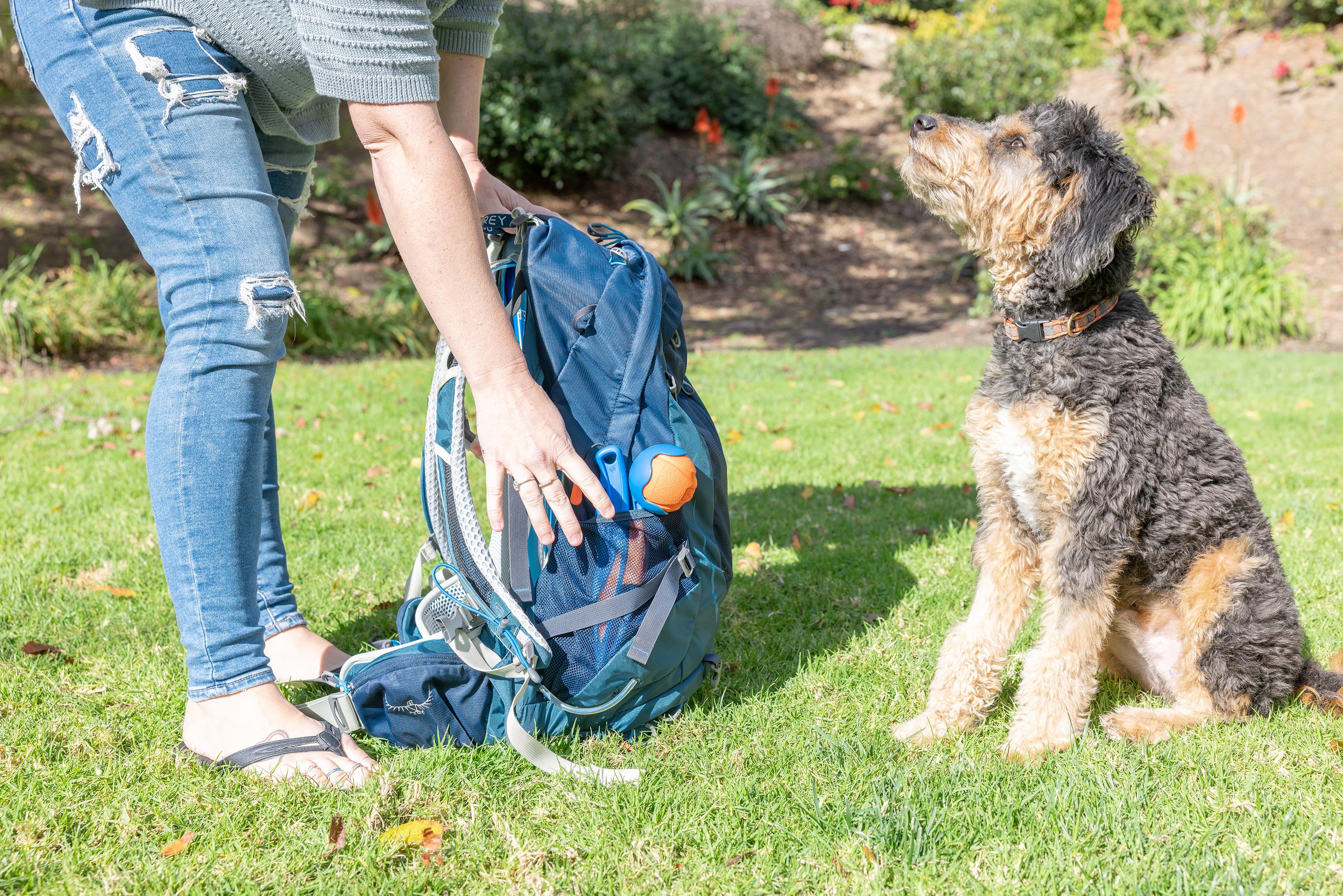Chuckit! Fetch & Fold Mini Katlanabilir Top Fırlatıcı (Küçük Boy Fetch Ball Hediyeli) - Oyun Topları ve Frizbiler