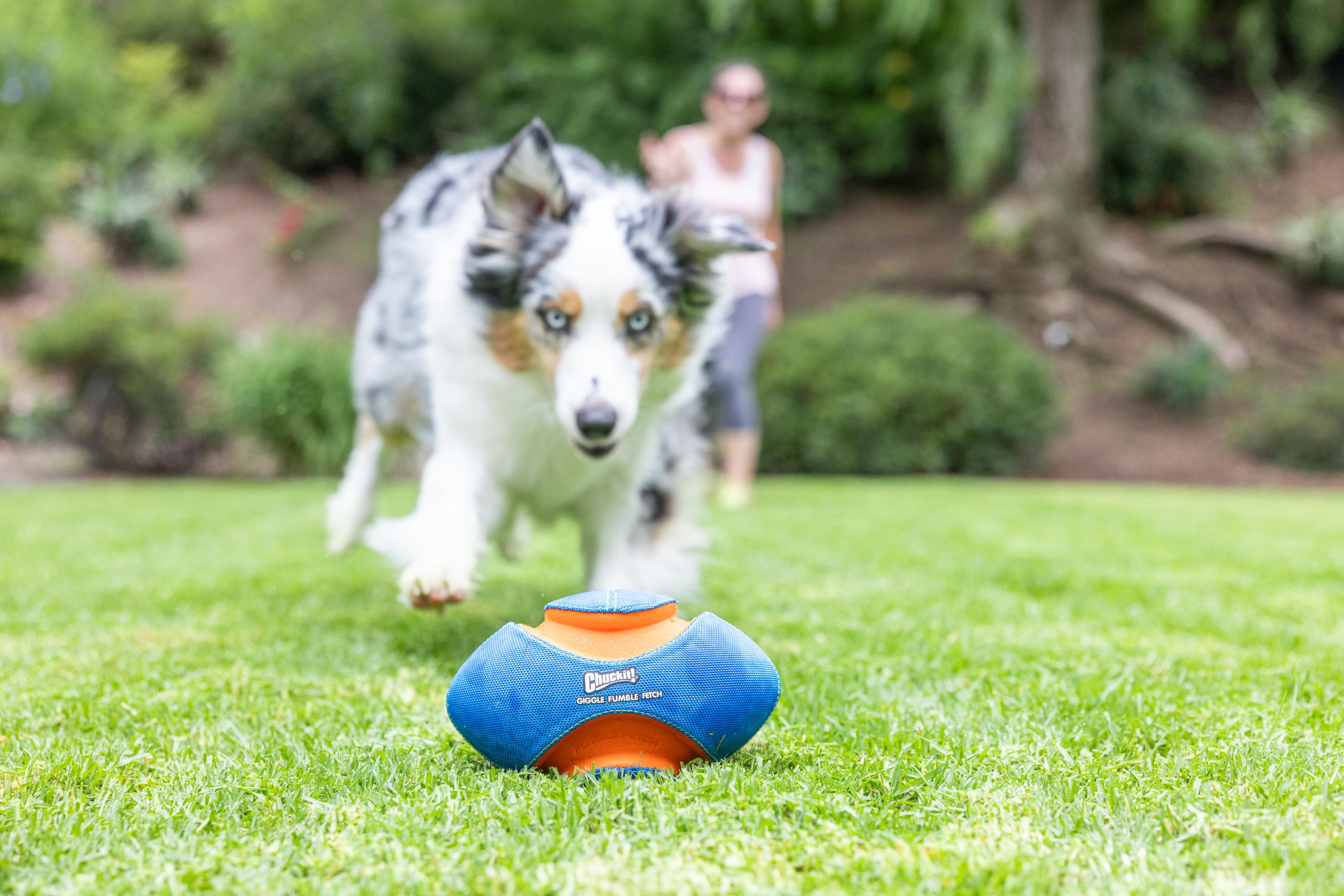 Chuckit! Giggle Fumble Fetch Sesli Köpek Oyun Topu - Oyun Topları ve Frizbiler