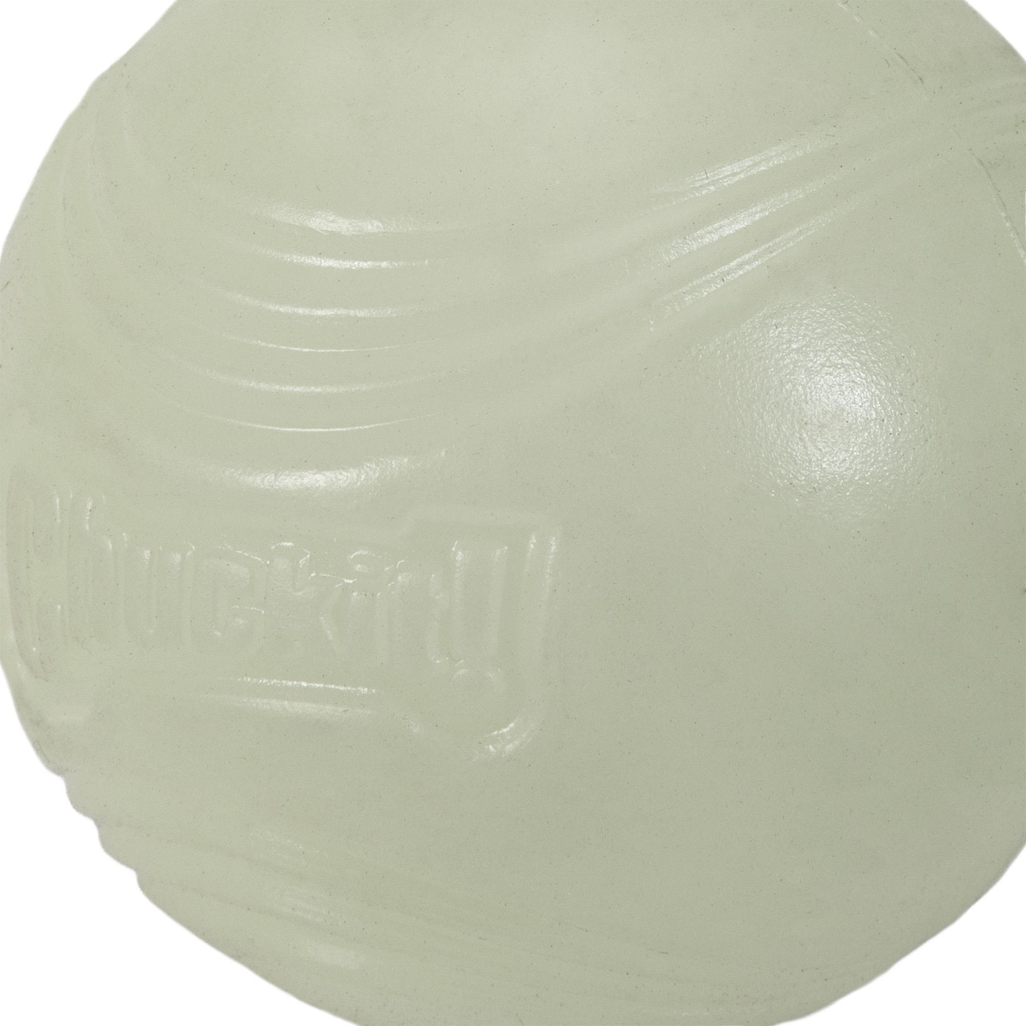 Chuckit! Max Glow Gece Parlayan Köpek Oyun Topu (Orta Boy) - Oyun Topları ve Frizbiler