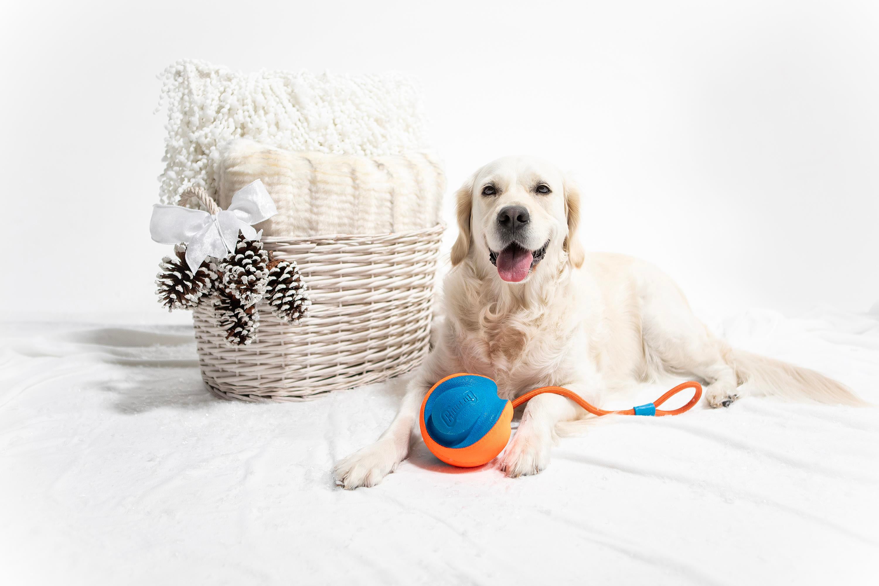 Chuckit! Rope Fetch İpli Oyun Topu - Oyun Topları ve Frizbiler