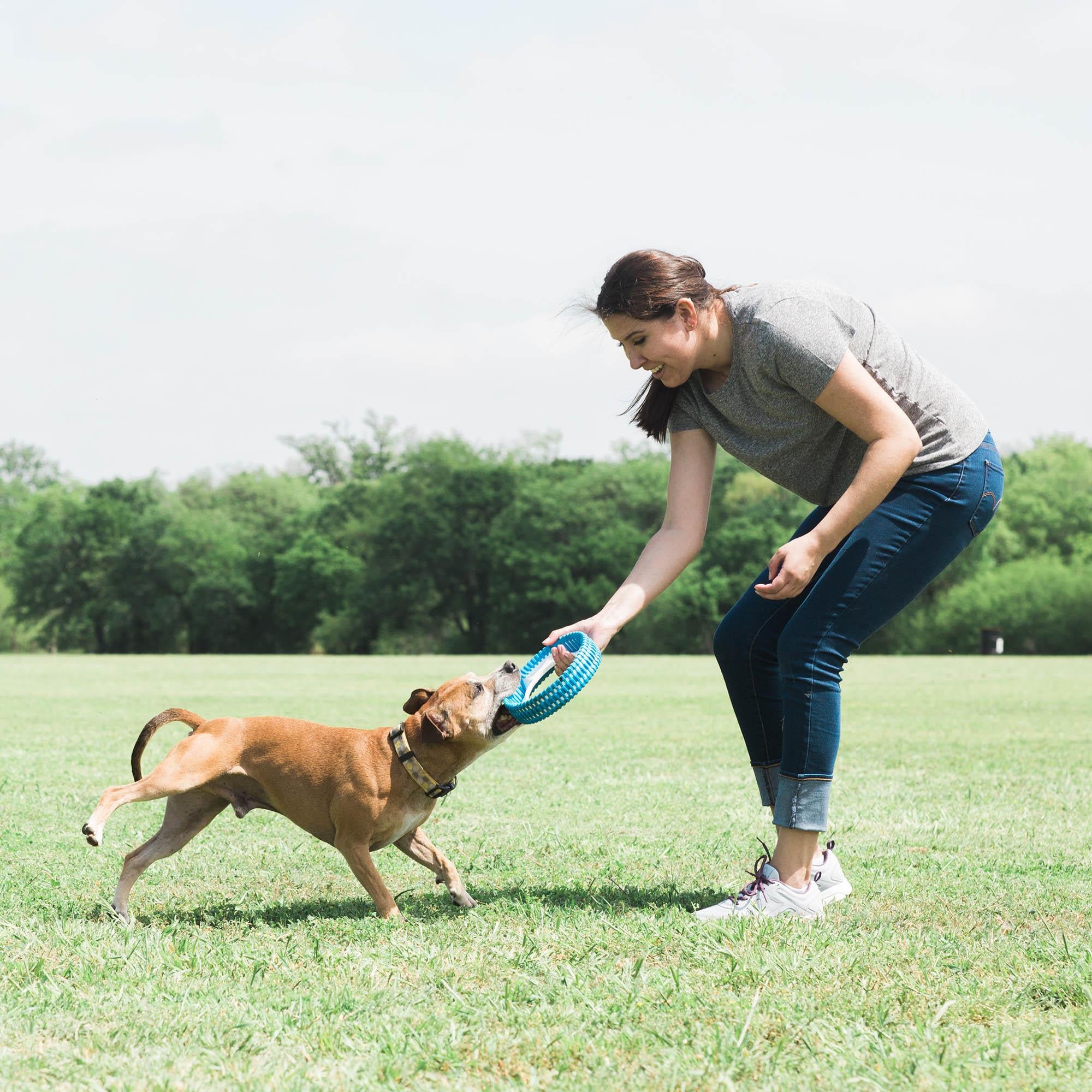 Chuckit! Rugged Fetch Wheel Ekstra Dayanıklı Köpek Oyun Halkası - Oyun Topları ve Frizbiler