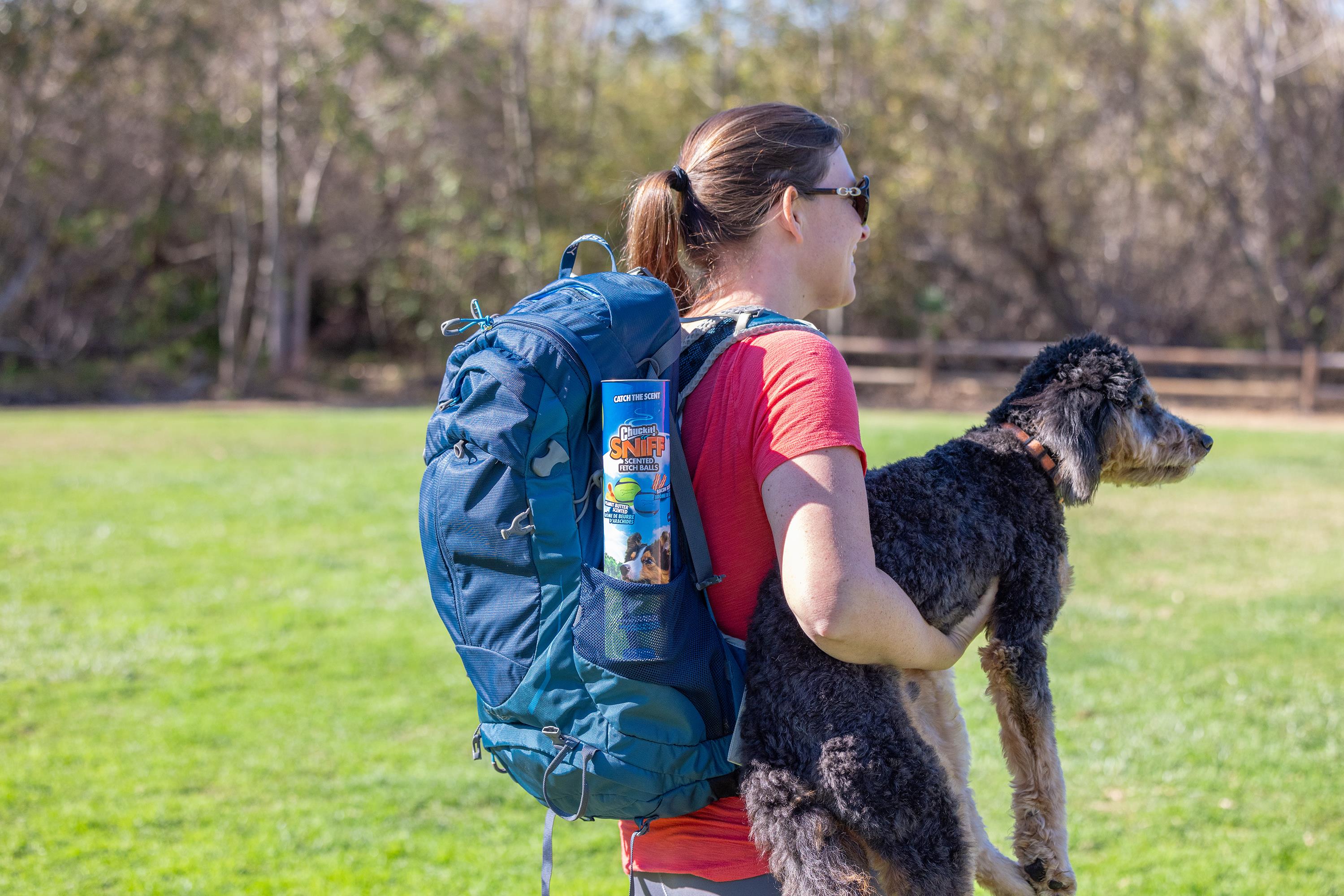 Chuckit! Sniff Fetch Kokulu Köpek Oyun Topu 4'lü Kutulu Set (Orta Boy) - Oyun Topları ve Frizbiler