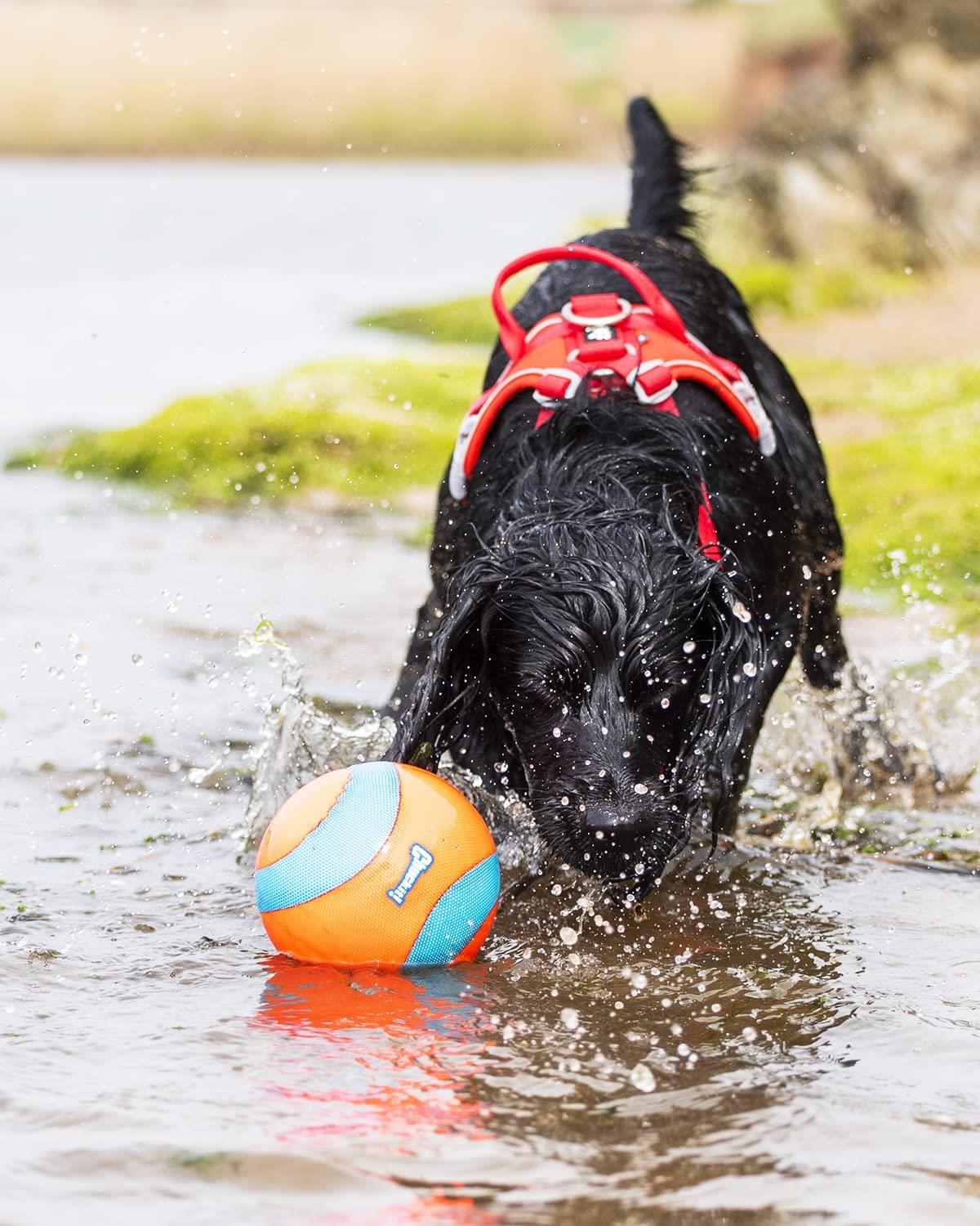 Chuckit! Suda Batmayan Mega Köpek Oyun Topu - Oyun Topları ve Frizbiler