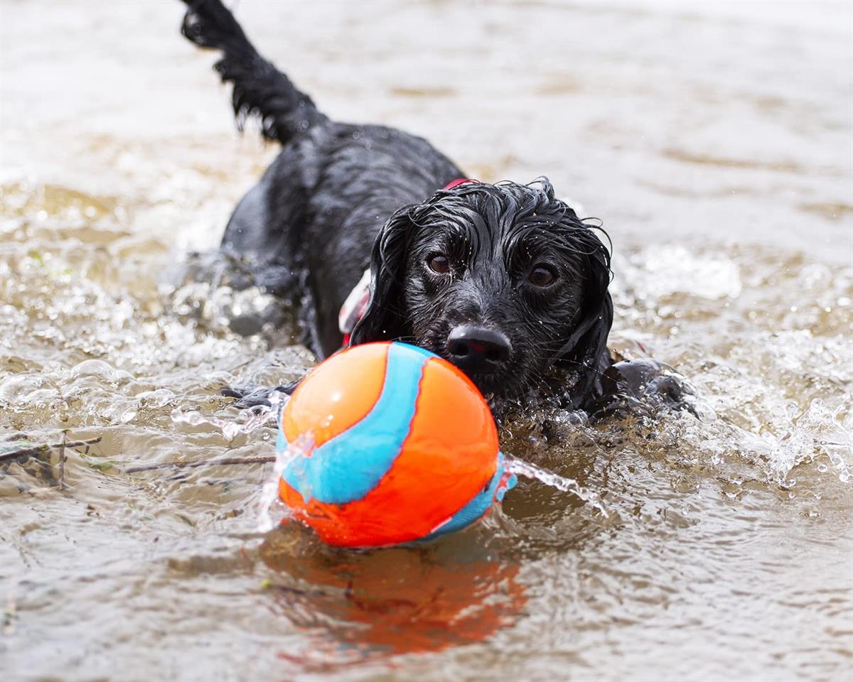 Chuckit! Suda Batmayan Mega Köpek Oyun Topu - Oyun Topları ve Frizbiler