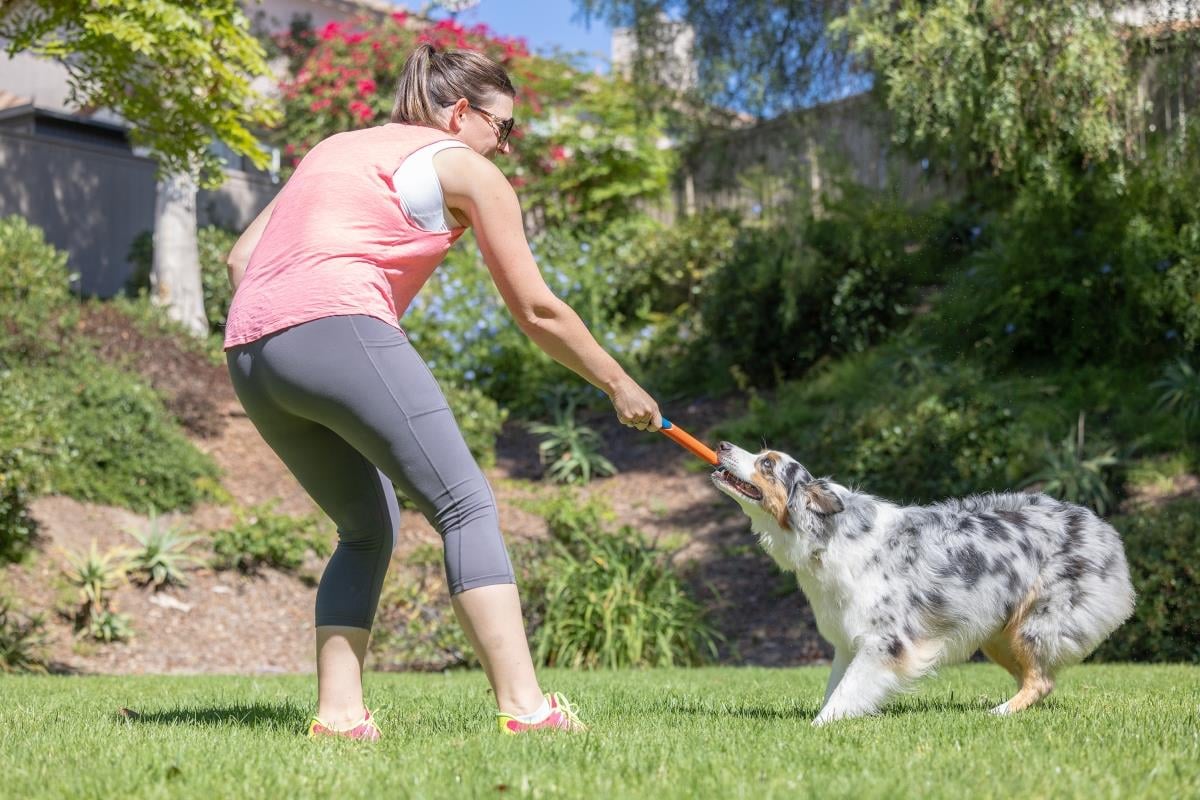 Chuckit! Ultra Fetch Stick Köpek Oyuncağı - Oyun Topları ve Frizbiler