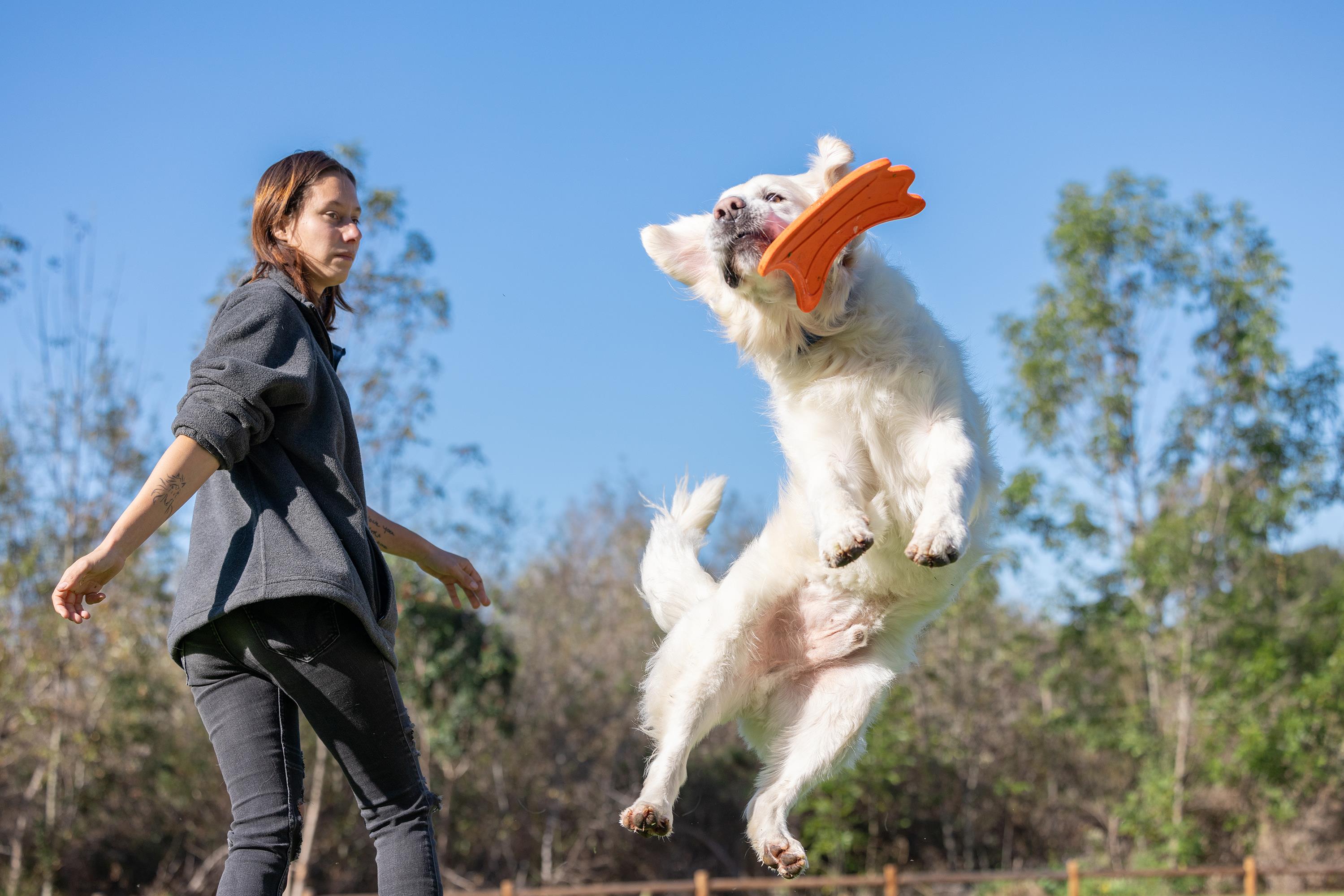 Chuckit! Ultra Flying Squirrel Sincap Frizbi - Oyun Topları ve Frizbiler