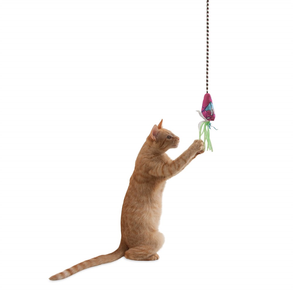 Fat Cat CrawDaddy Kedi Oltası - Kedi Oyuncakları