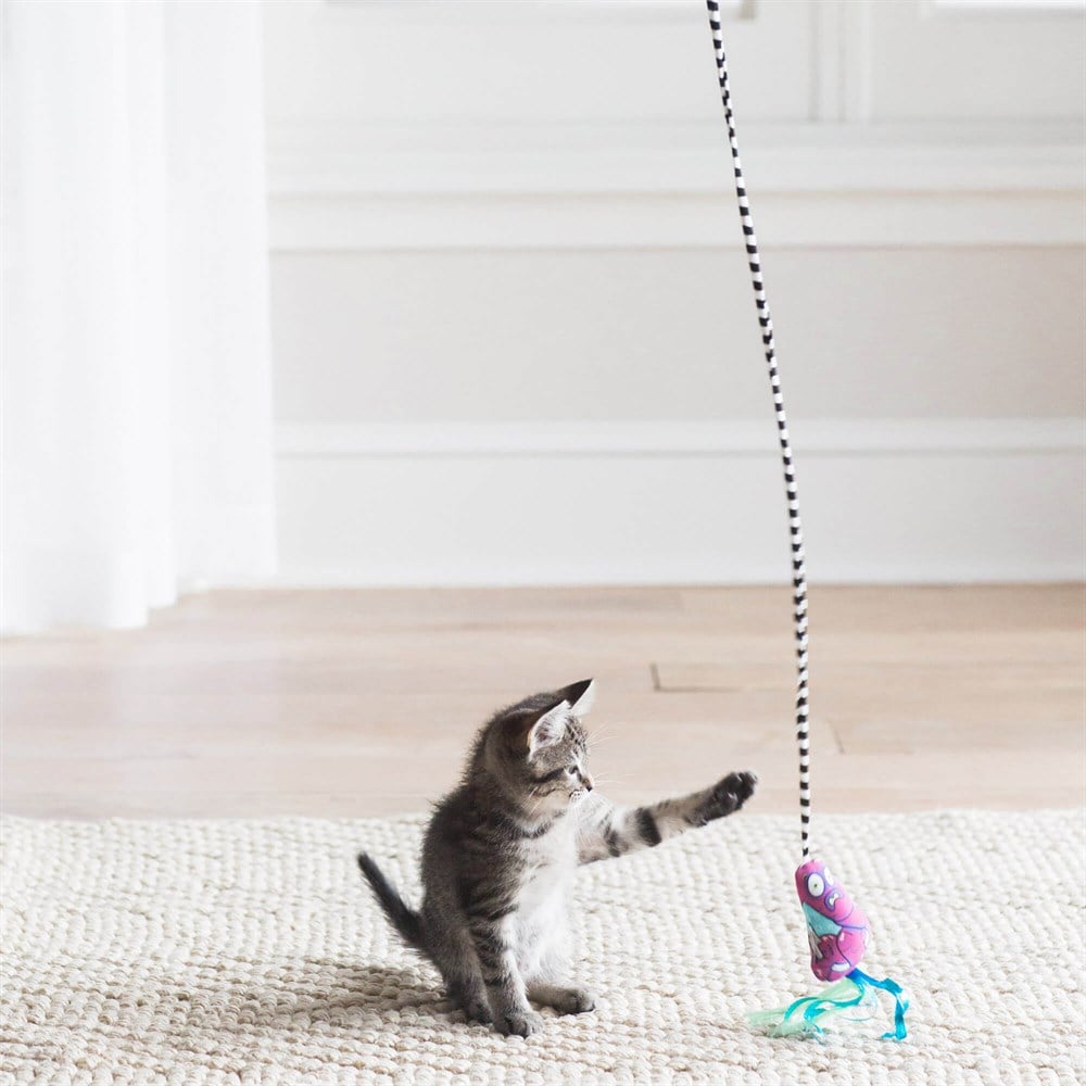 Fat Cat Worm Kedi Oltası - Kedi Oyuncakları