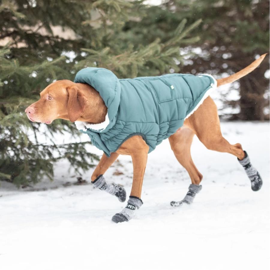 GF PET All Terrain Köpek Ayakkabısı - Köpek Kıyafetleri