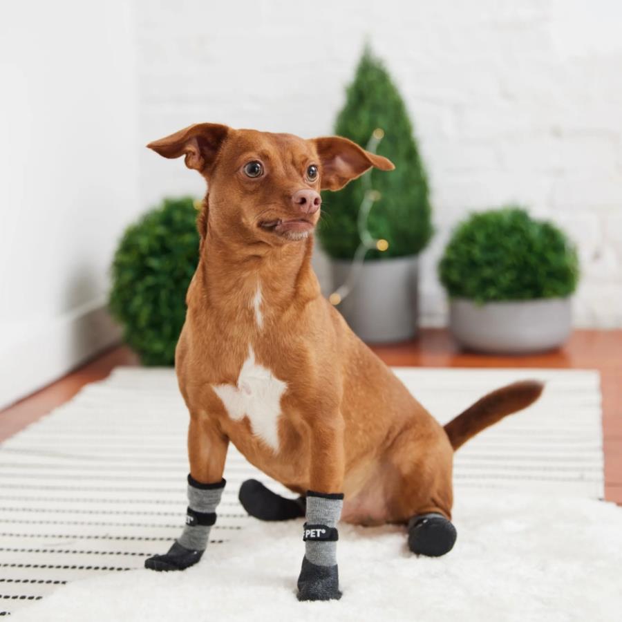 GF PET All Terrain Köpek Ayakkabısı - Köpek Kıyafetleri