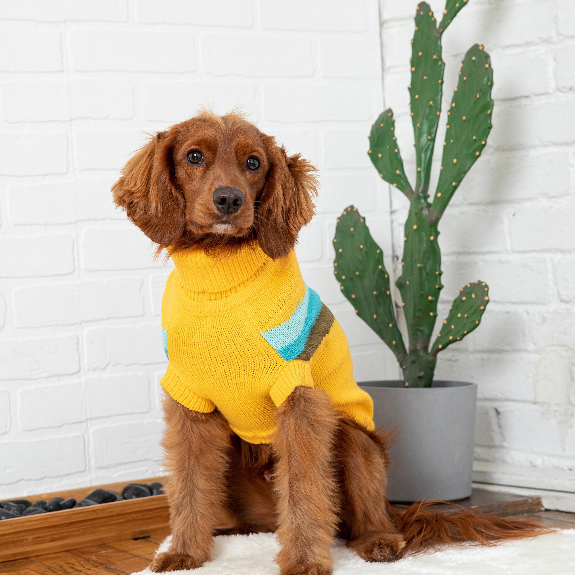 GF PET Alpine Köpek Süveteri - Sarı - Köpek Kıyafetleri