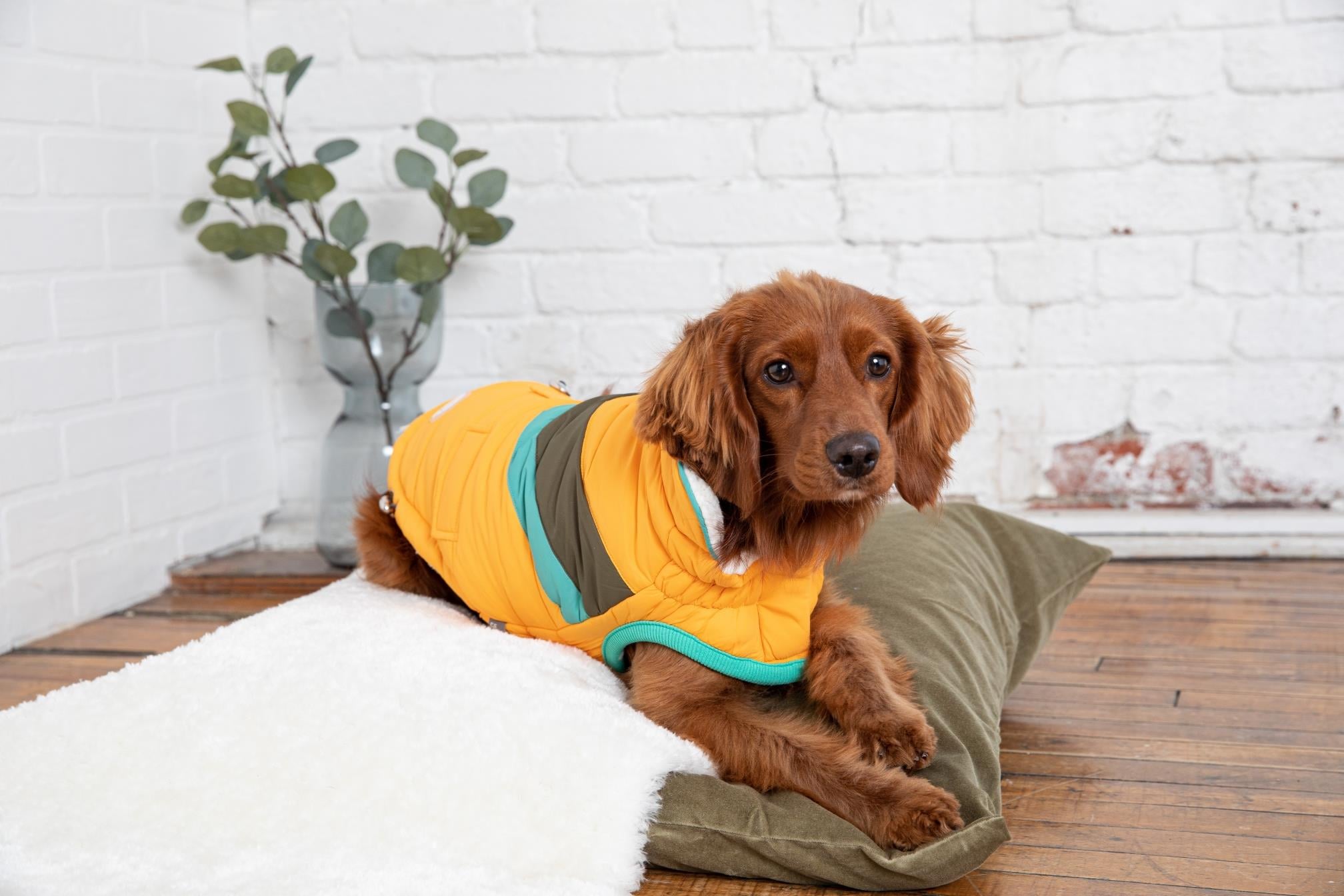 GF PET Alpine Puffer Köpek Montu - Sarı - Köpek Kıyafetleri