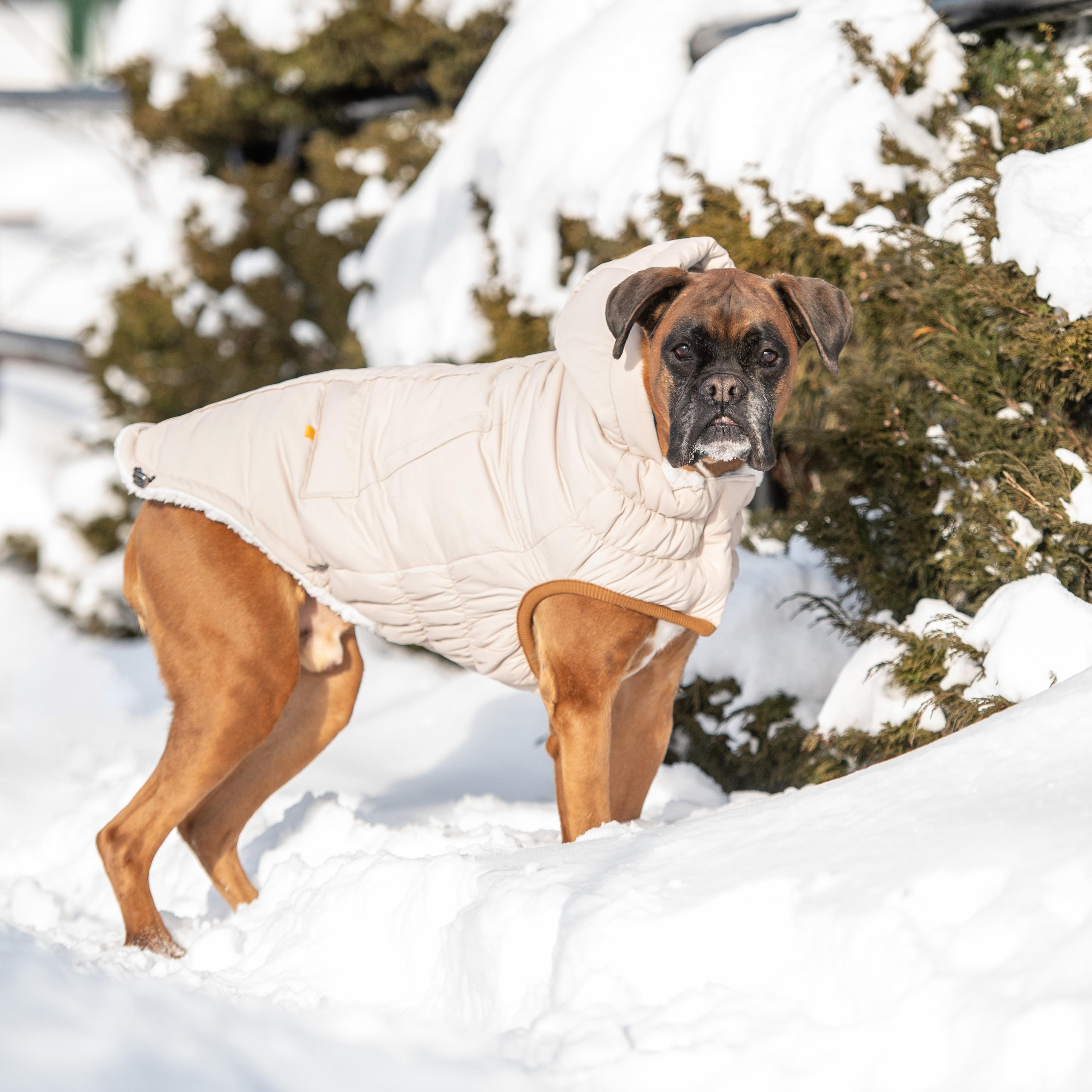 GF PET Arctic Parka Köpek Montu - Bej - Köpek Kıyafetleri