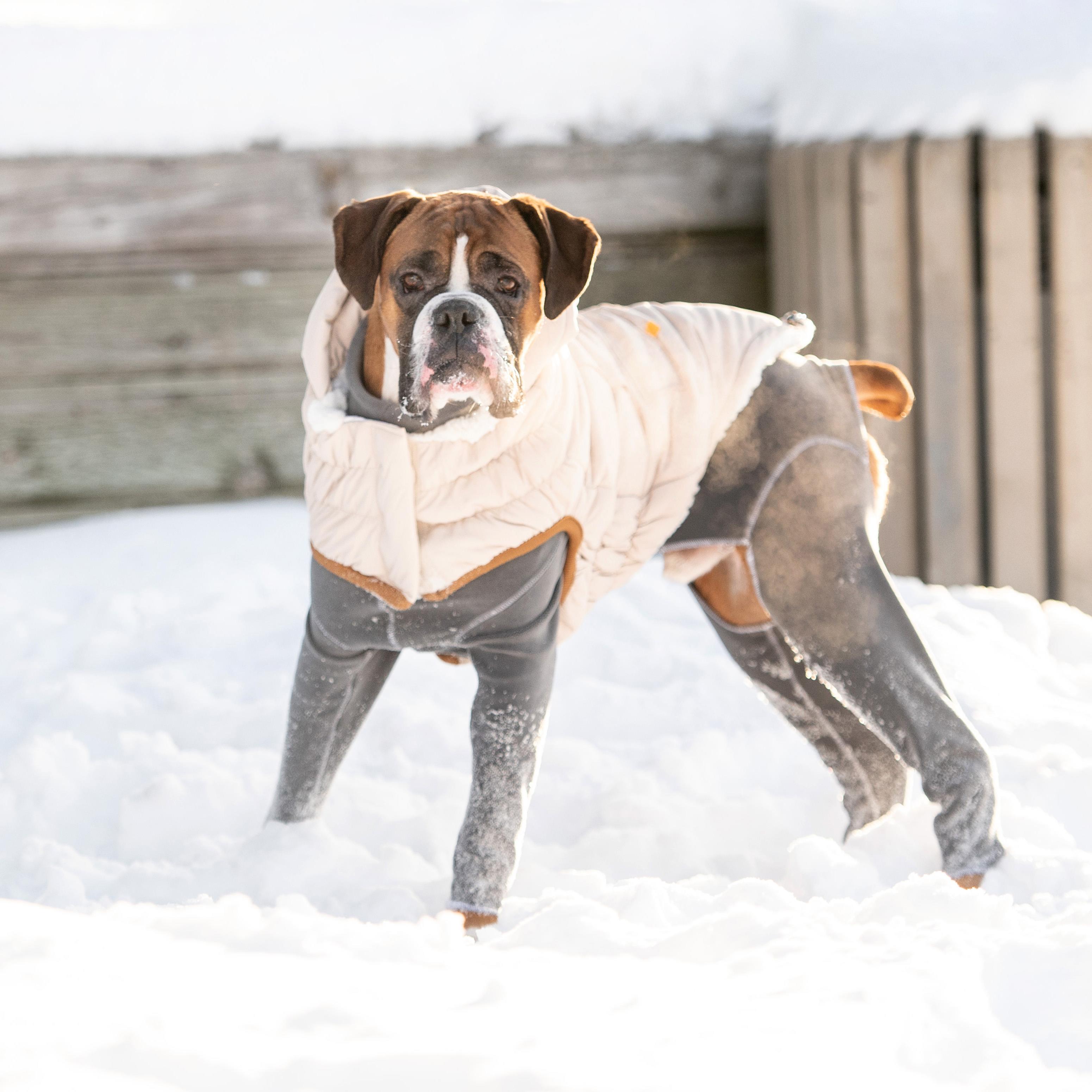 GF PET Arctic Parka Köpek Montu - Bej - Köpek Kıyafetleri