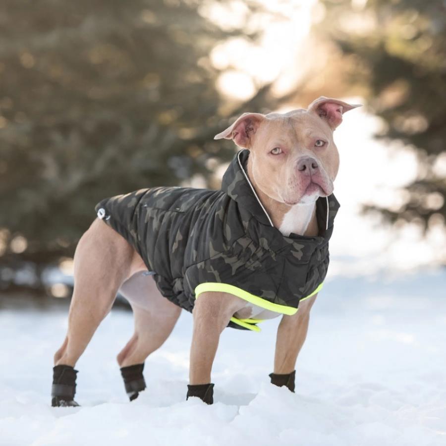 GF PET Camouflage Köpek Montu - Köpek Kıyafetleri