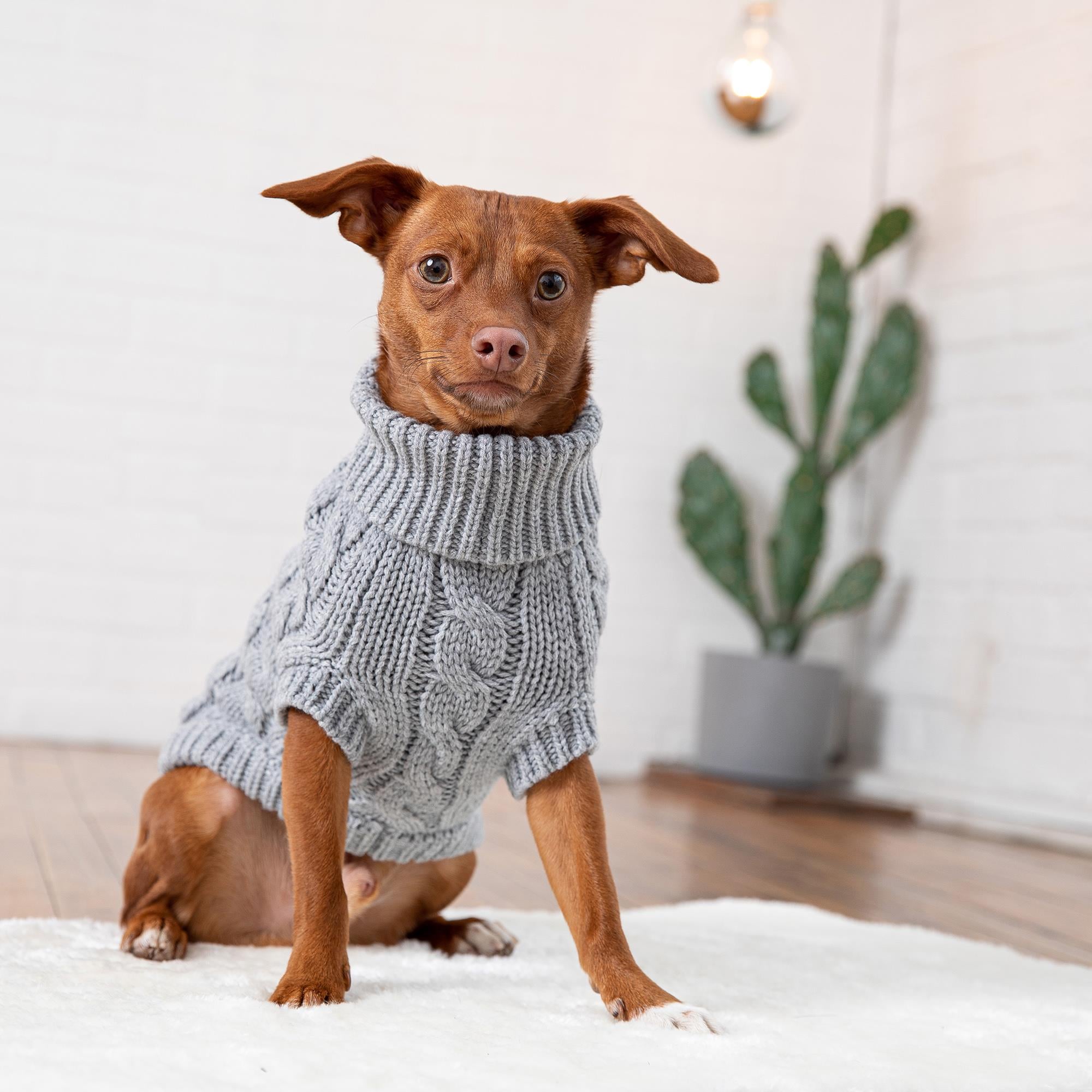 GF PET Chalet Köpek Süveteri - Gri - Köpek Kıyafetleri