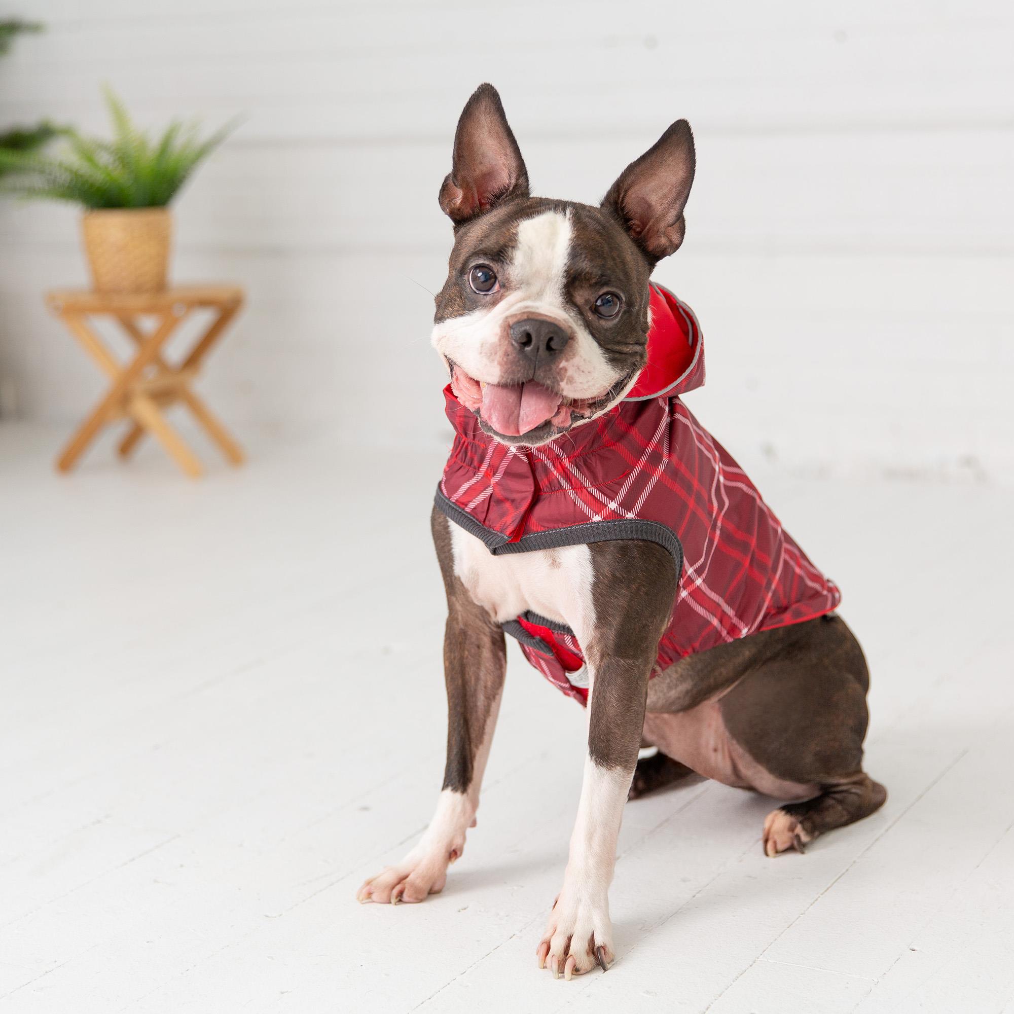 GF PET Çift Taraflı Köpek Yağmurluğu - Kırmızı - Köpek Kıyafetleri