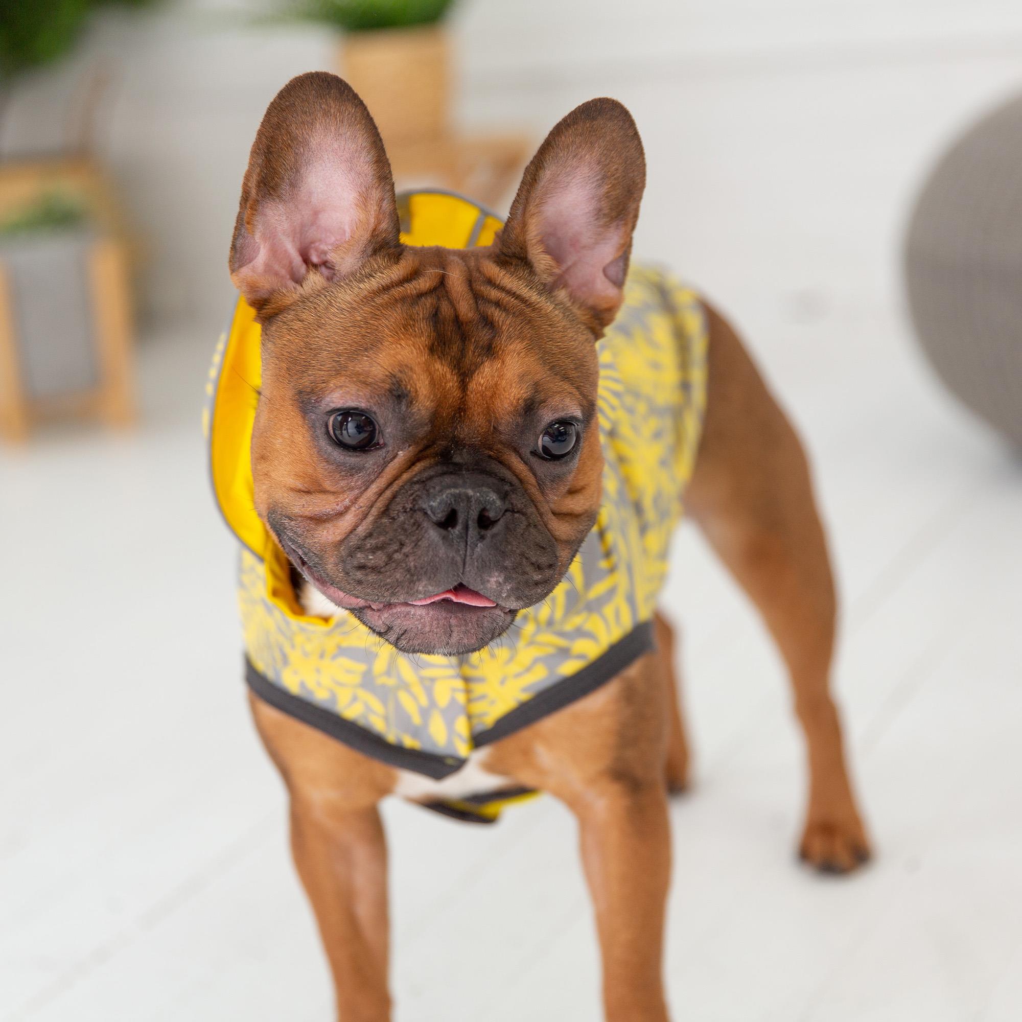 GF PET Çift Taraflı Köpek Yağmurluğu - Sarı - Köpek Kıyafetleri